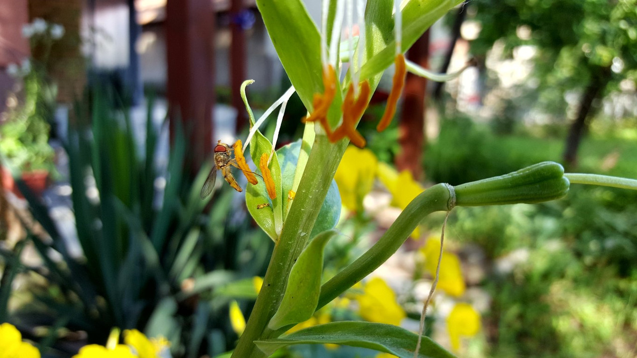 20160612_163551.jpg