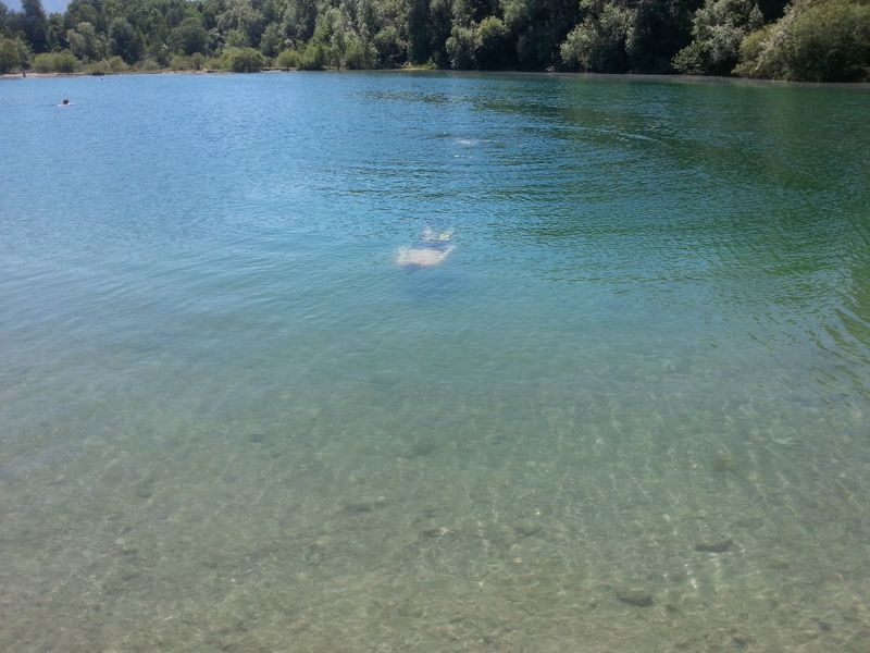 Slika