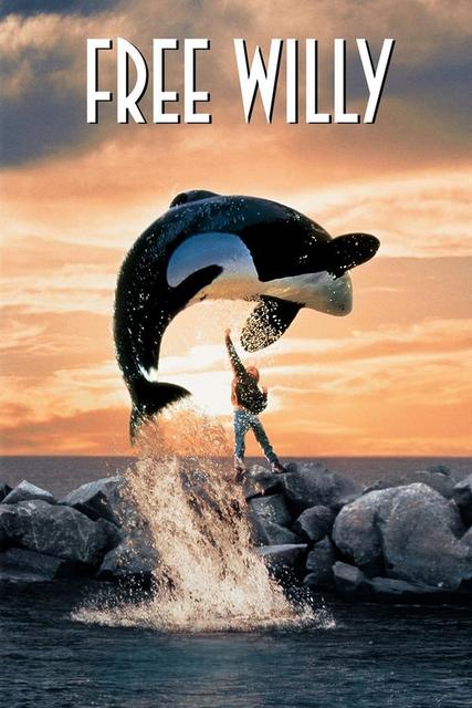 გაათავისუფლეთ ვილი / Free Willy / gaatavisuflet vili