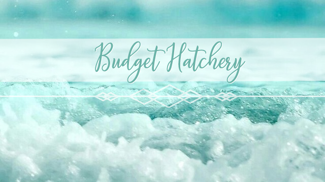 budget_hatchery.png
