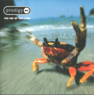 The Prodigy - The Fat Of The Land (1997).mp3 - 320 Kbps