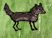 dog3.png