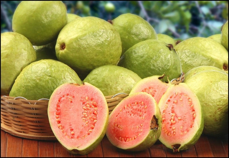 Guava Meyvesi nedir? Faydaları nelerdir?