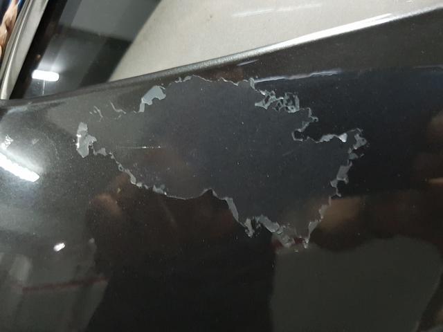 20180710_134934.jpg
