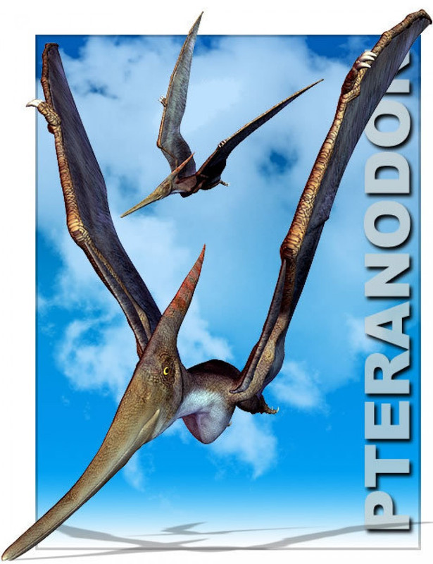 pteranodon large