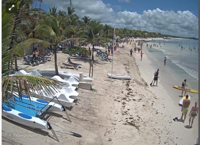 Archivo 09/10/2018 - Algas en las playas de Riviera Maya (México) - Foro Riviera Maya y Caribe Mexicano