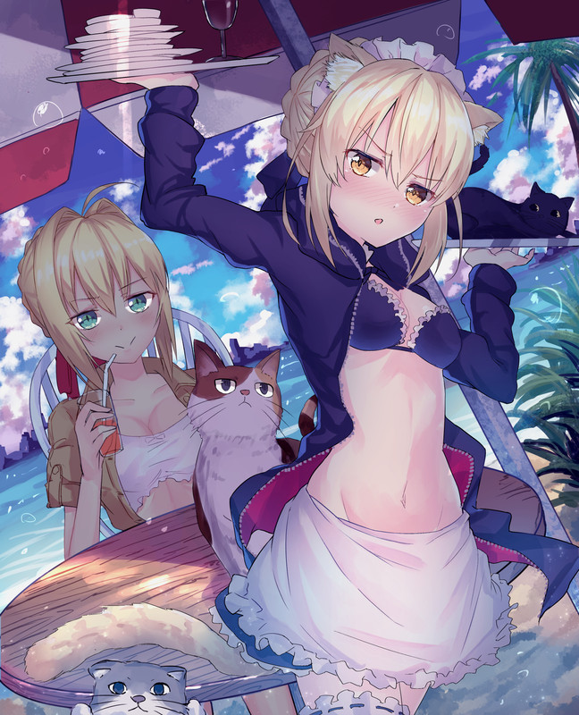 artoria_pendragon_artoria_pendragon_nero_claudius_nero_claudiu
