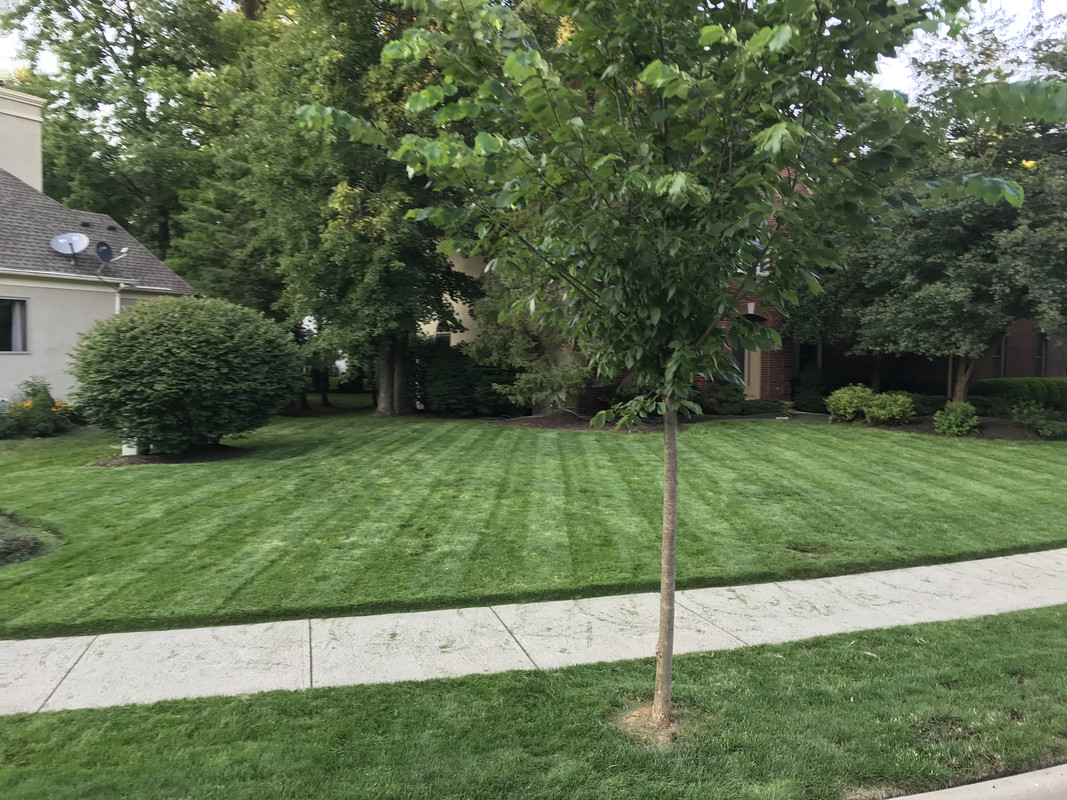 Columbus Oh Kgb Ff Tttf Fix Beef Up Page 2 The Lawn Forum
