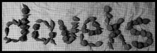 C829_DACF-2_AC0-4614-_A167-32_CB877_E0176.jpg