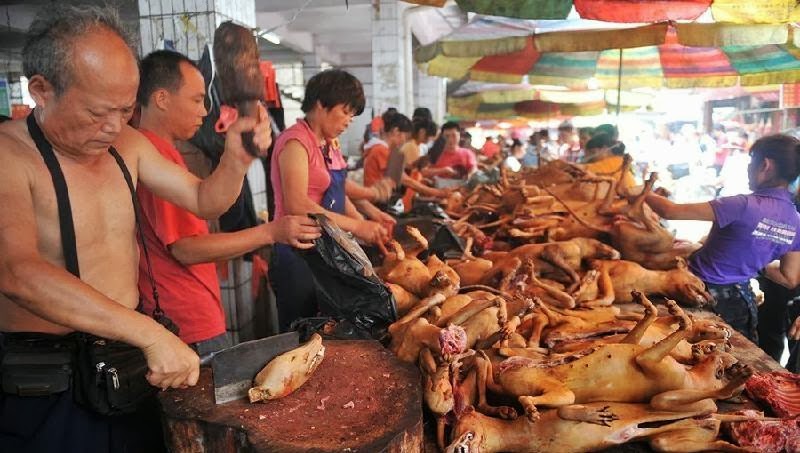 Perkumpulan Warga Tionghoa Bagi-Bagi Takjil
