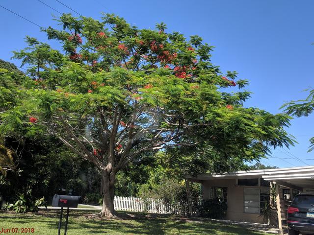 [Image: IMG_20180607_160553.jpg]