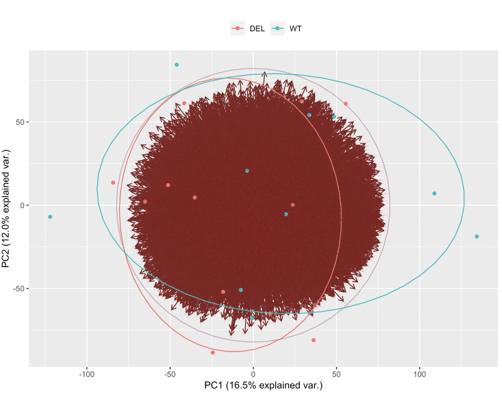 Genotype clustering using ggbiplot