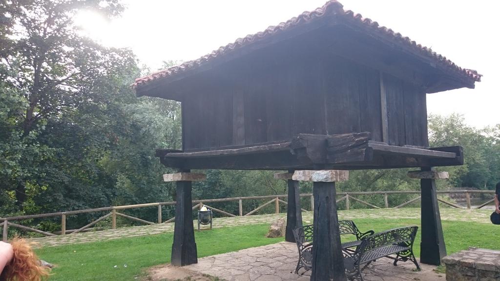 Día 7 Descenso río Sella – Cangas de Onís - Viaje Norte de España (2017): 22 días (13)