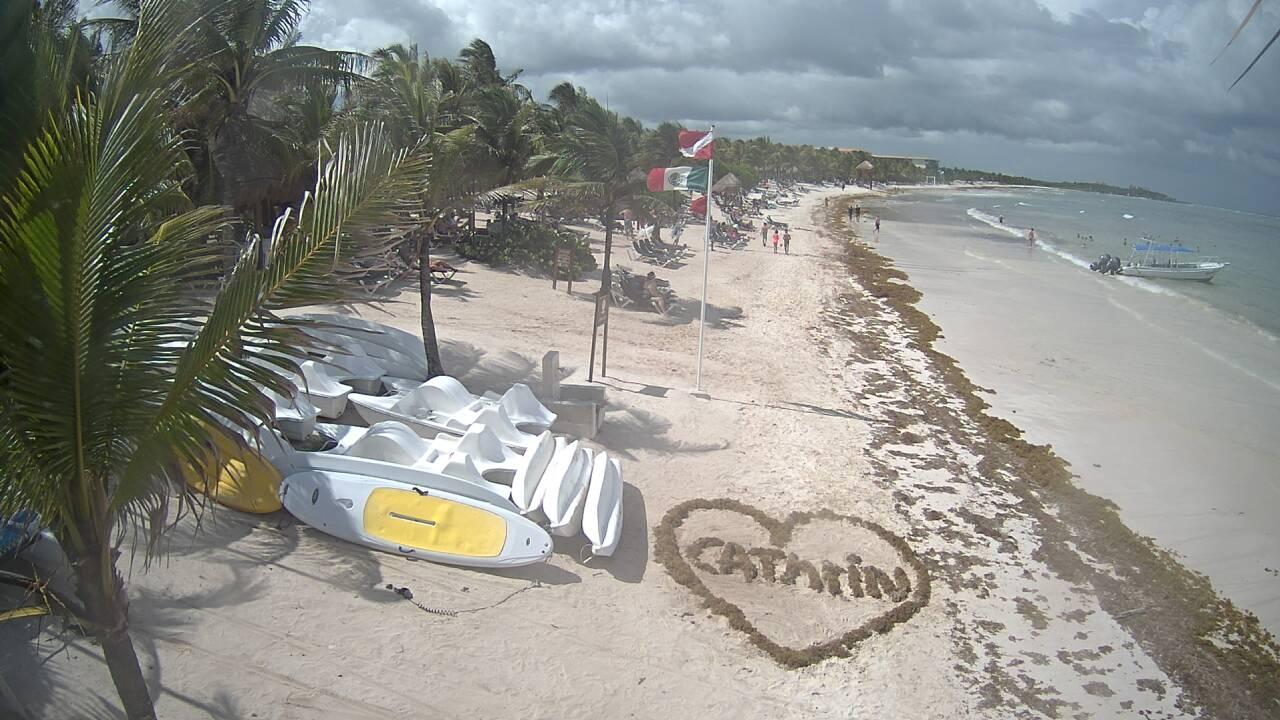 Archivo 09/10/2018 - Algas en las playas de Riviera Maya (México) - Foro Riviera Maya y Caribe Mexicano