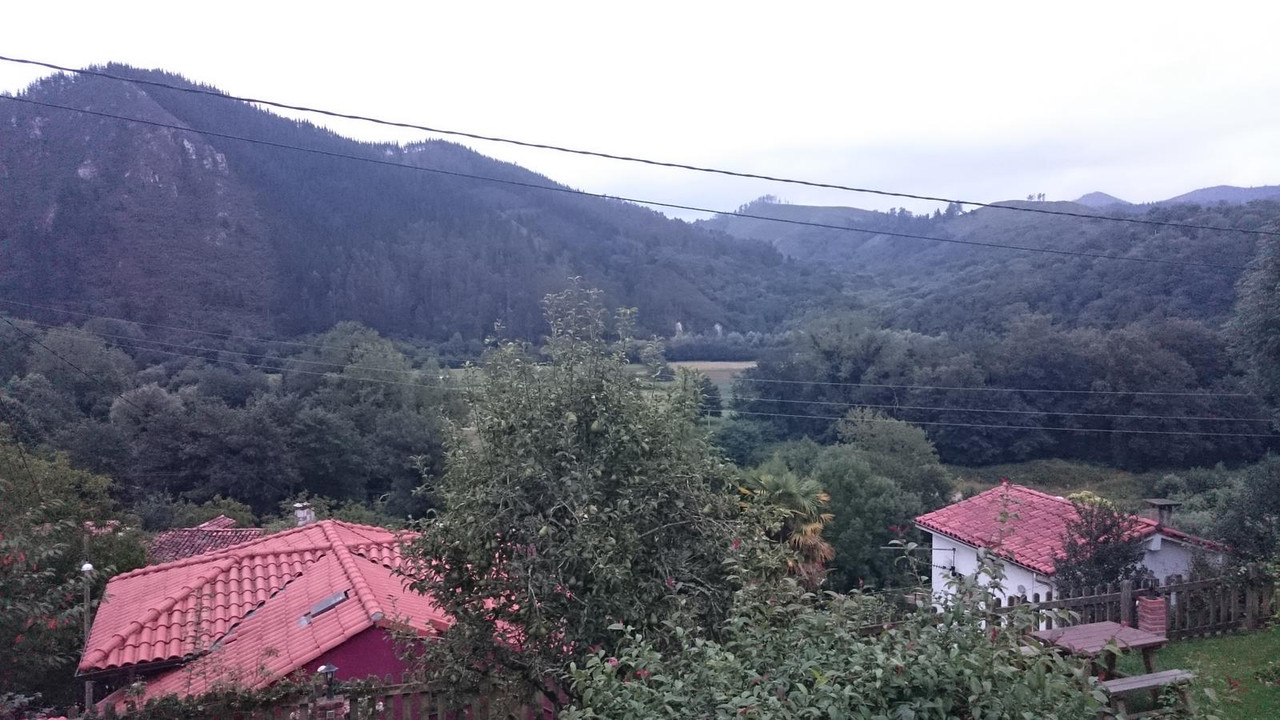 Viaje Norte de España (2017): 22 días - Blogs de España - Día 6 Parque de la Naturaleza de Cabárceno (36)