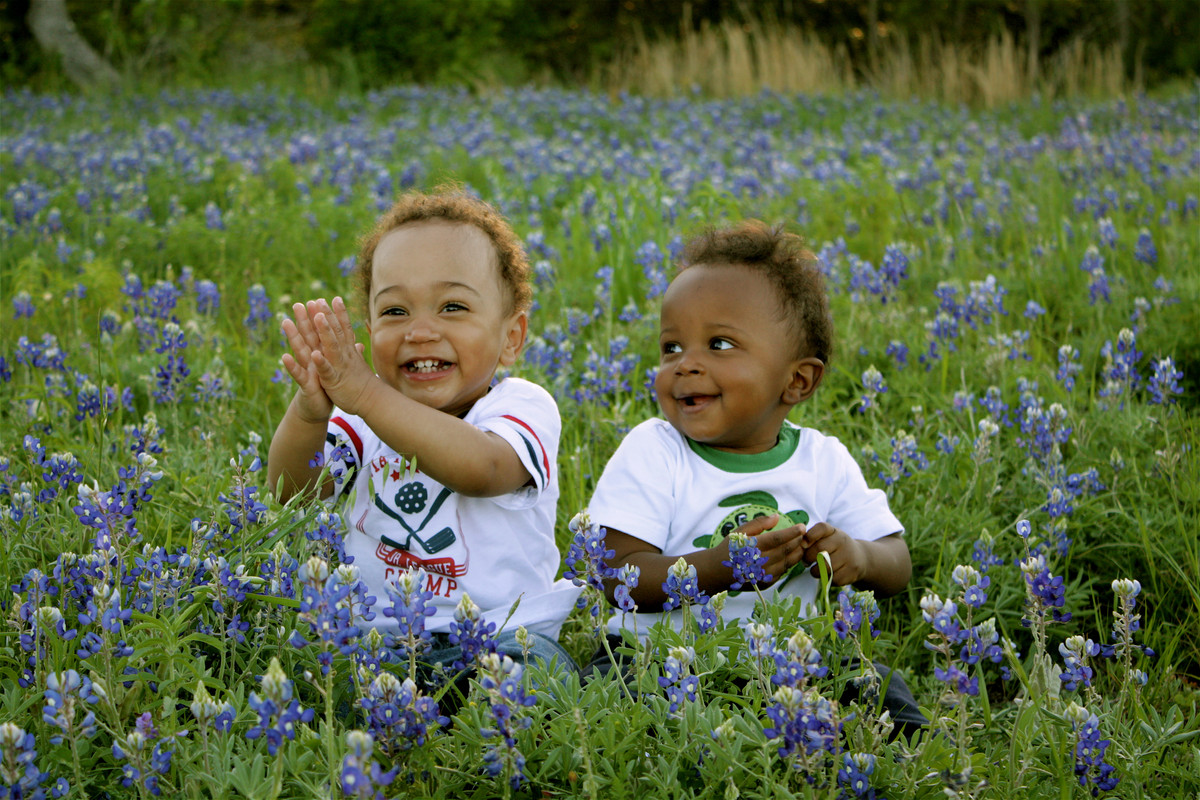 Bluebonnets.jpg
