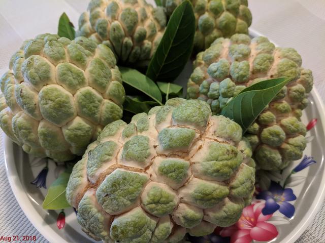 [Image: IMG_20180821_132415.jpg]