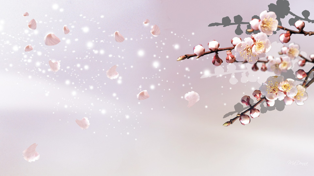[Image: flowers-soft-sakura-cherry-apple-blossom...-sprin.jpg]