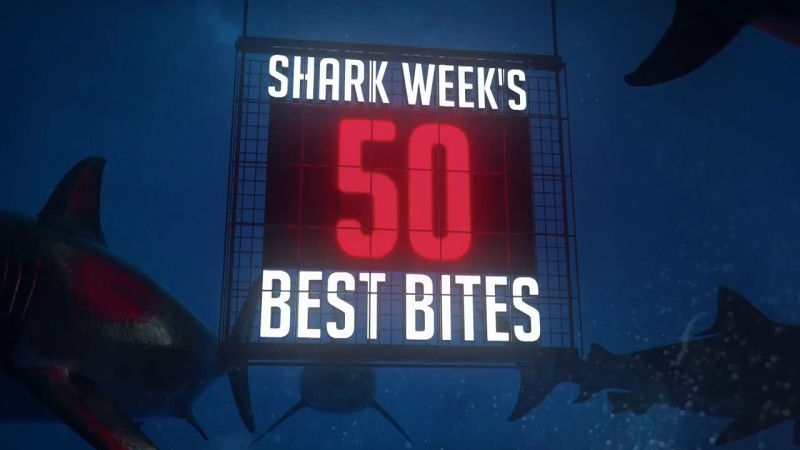 50 nejlepších okamžiků týdne žraloků (2018) / CZ