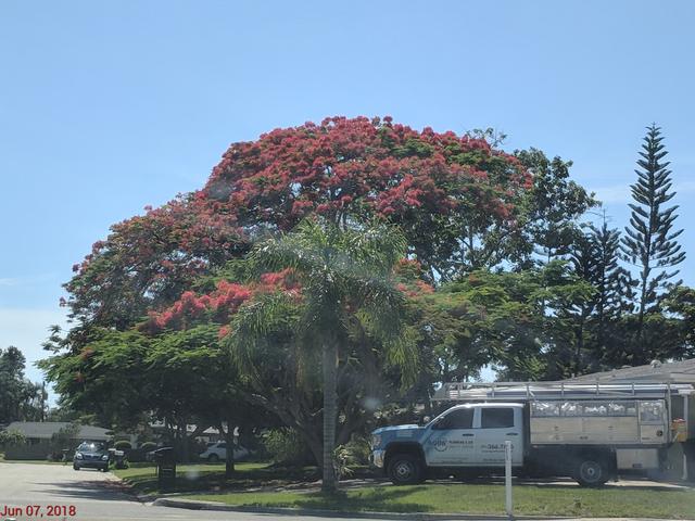 [Image: IMG_20180607_160331.jpg]