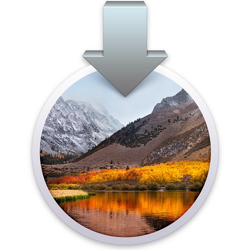 macOS High Sierra 10.13.5 (17F77) + clover r4509