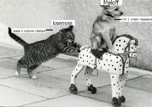 1491301946179831685.jpg