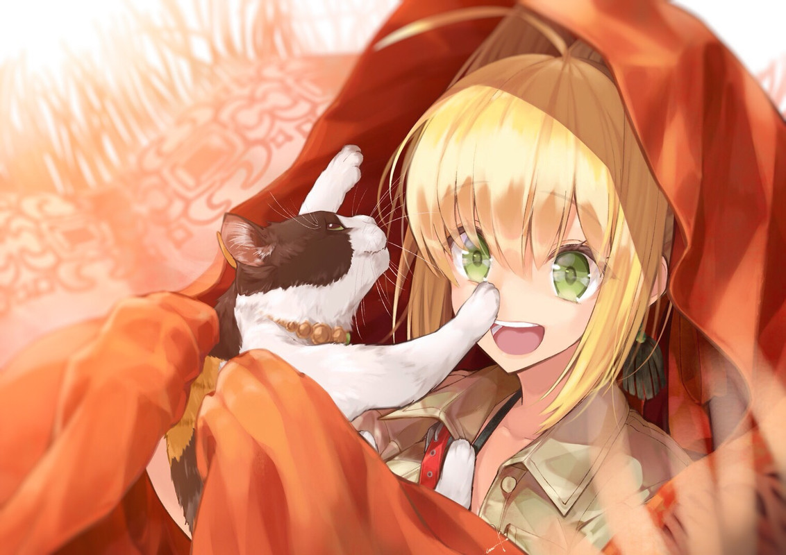 nero_claudius_and_nero_claudius_fate_extra_fate_grand_order_an