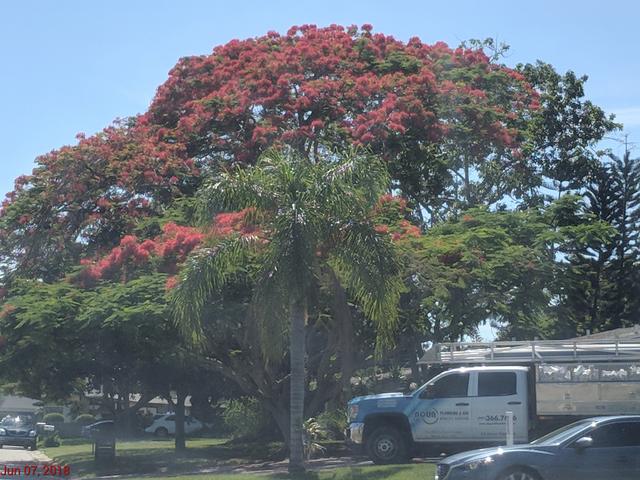 [Image: IMG_20180607_160343.jpg]