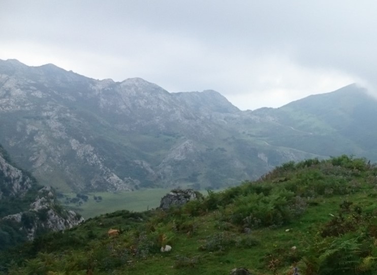 Día 8 Lagos de Covadonga - Viaje Norte de España (2017): 22 días (7)