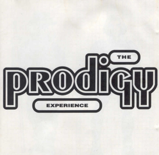 The Prodigy - Experience (1992).mp3 - 320 Kbps