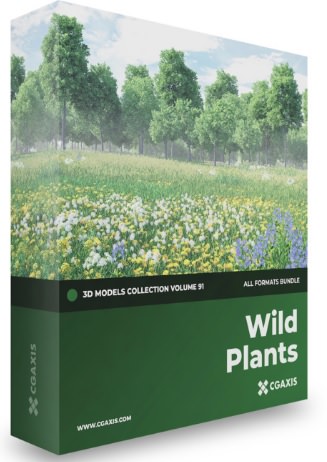 CGAxis Wild Plants 3D Models Collection Volume 91 3ds Max V-Ray Format