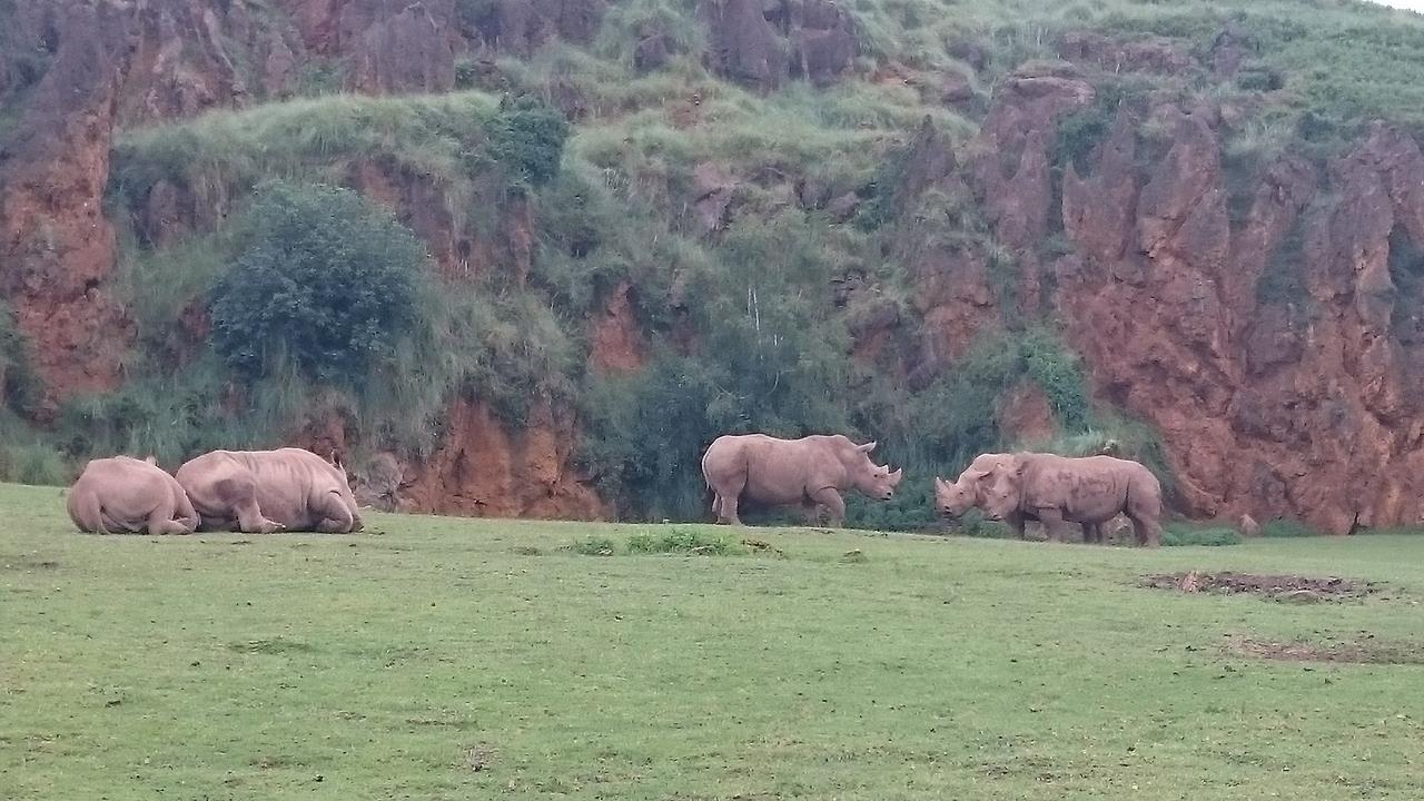 Viaje Norte de España (2017): 22 días - Blogs de España - Día 6 Parque de la Naturaleza de Cabárceno (24)